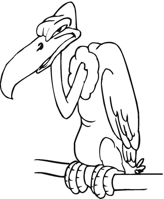 Free buzzard colouring pages for kids animal corner