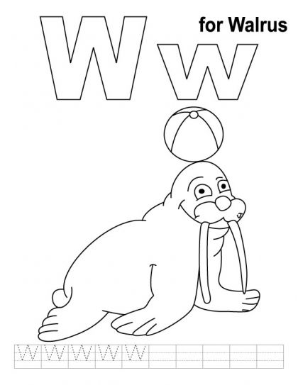 W for walrus coloring page with handwriting practice download free w for walrus coloringâ coloring pages alphabet coloring pages free printable coloring pages