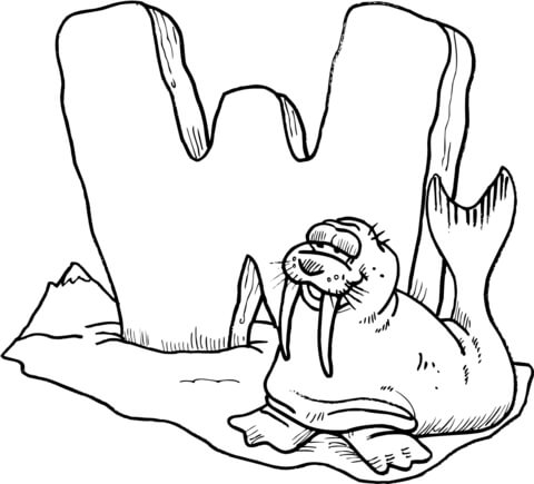 Letter w is for walrus coloring page free printable coloring pages