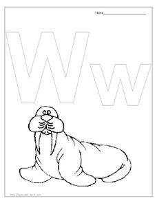 W is for walrus worksheet for pre