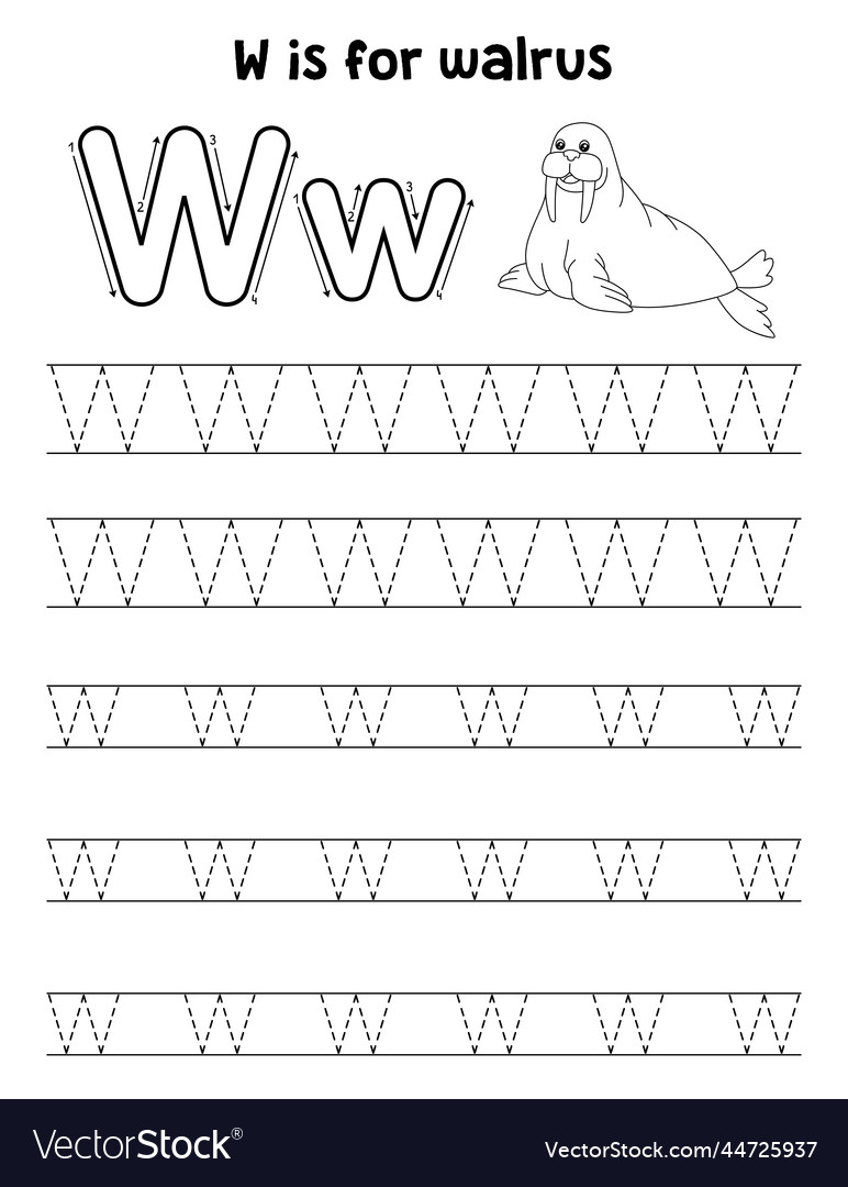 Walrus animal tracing letter abc coloring page w vector image