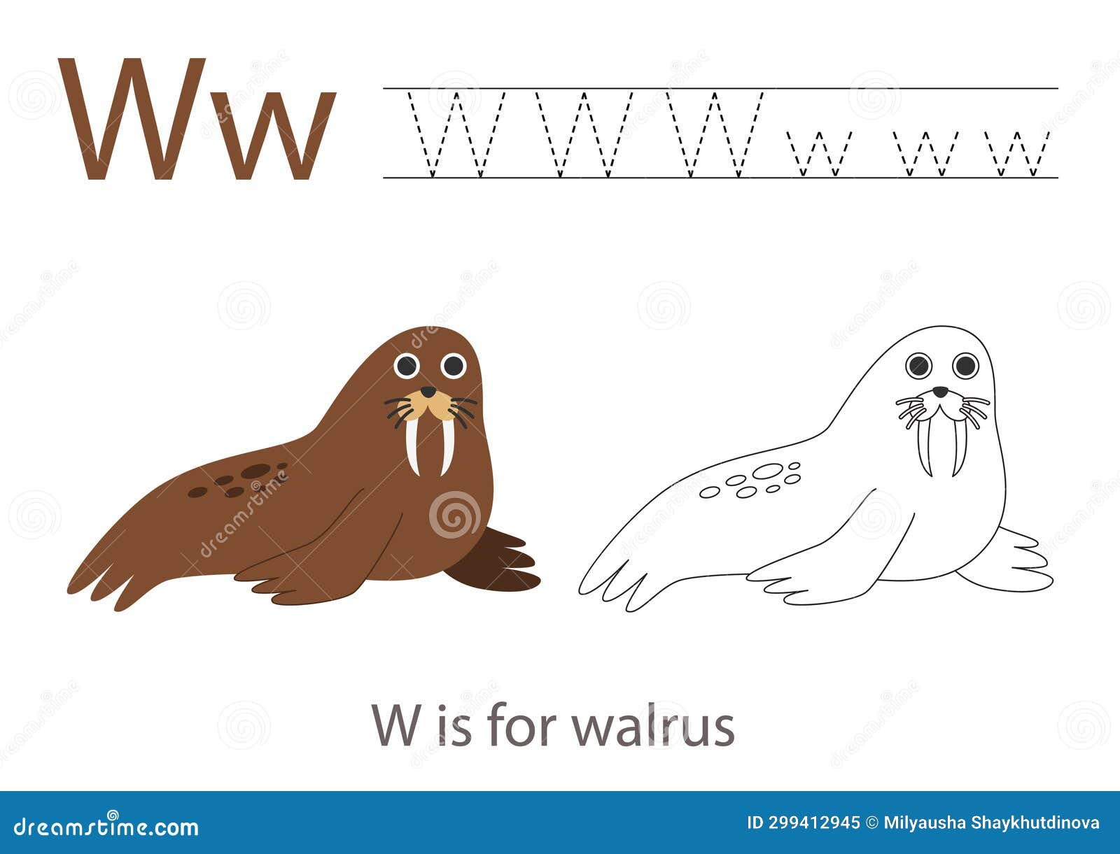 W walrus stock illustrations â w walrus stock illustrations vectors clipart