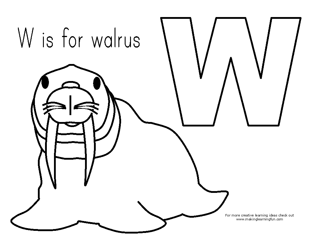 Coloring page walrus animals â printable coloring pages