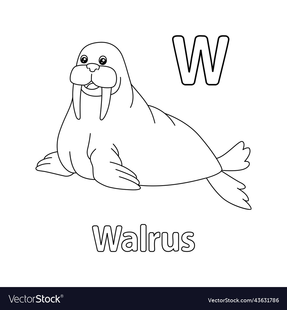 Letter w walrus vector images