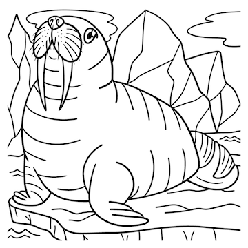 Premium vector walrus coloring page for kids