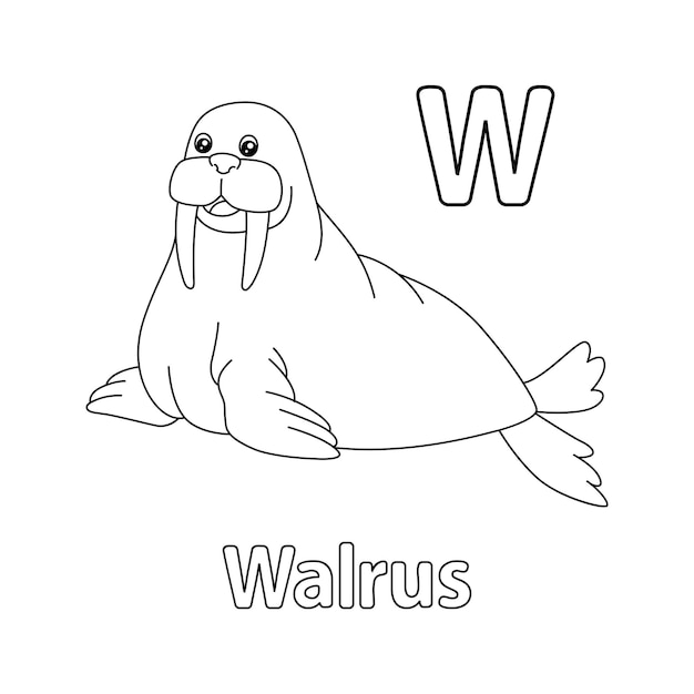 Premium vector walrus alphabet abc coloring page w