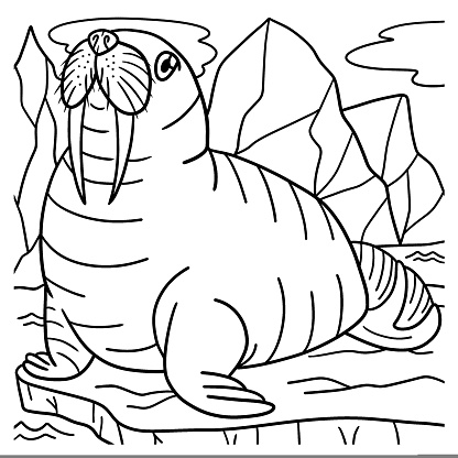 Walrus coloring page for kids stock illustration