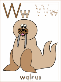 Letter w walrus alphabet preschool lesson plan printable activities and worksheets set