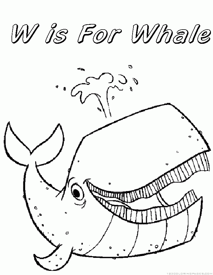 Whale coloring pages