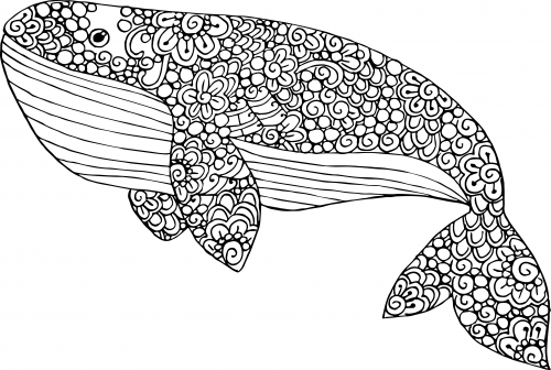 Blue whale coloring page