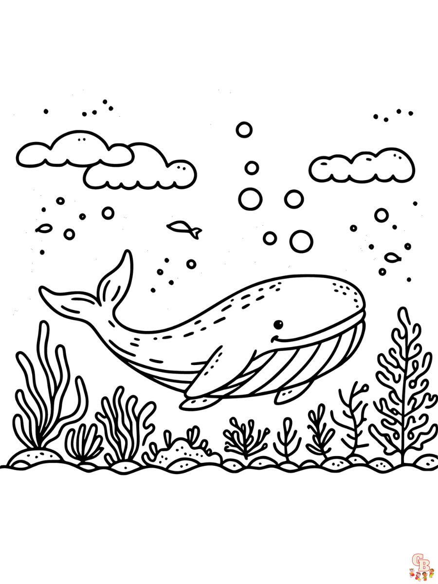 Whale coloring pages