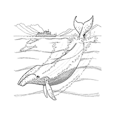 Printable whale coloring pages your toddler will love