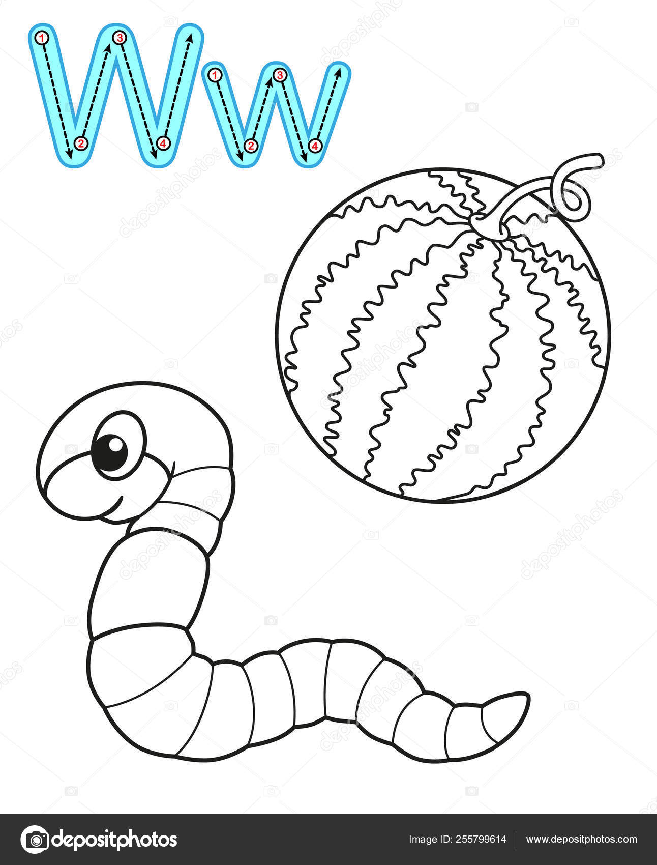 Printable coloring page for kindergarten and preschool card for study english vector coloring book alphabet letter w watermelon worm stock vector by natasha