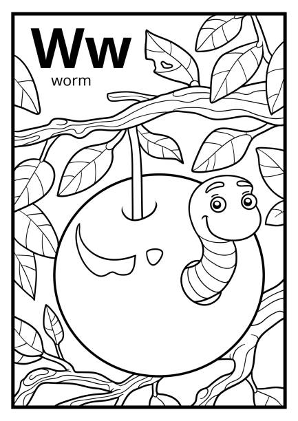 Coloring book colorless alphabet letter w worm stock illustration