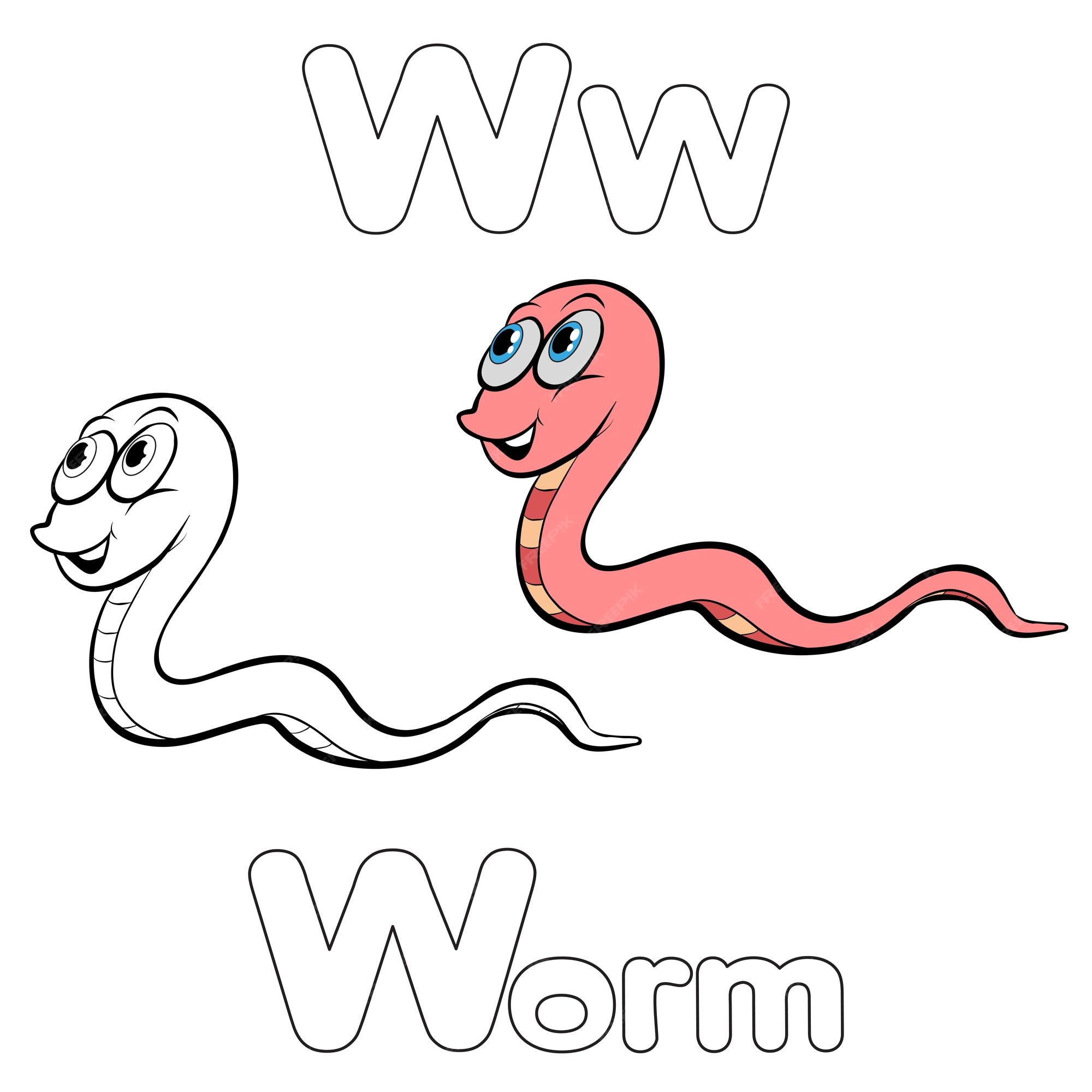 Premium vector w for worm