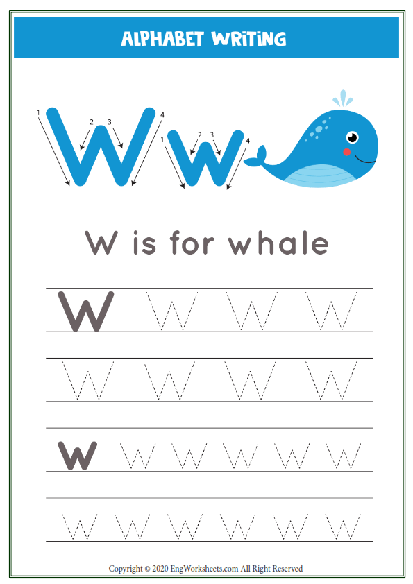 Letter w alphabet tracing worksheet with animal illustration
