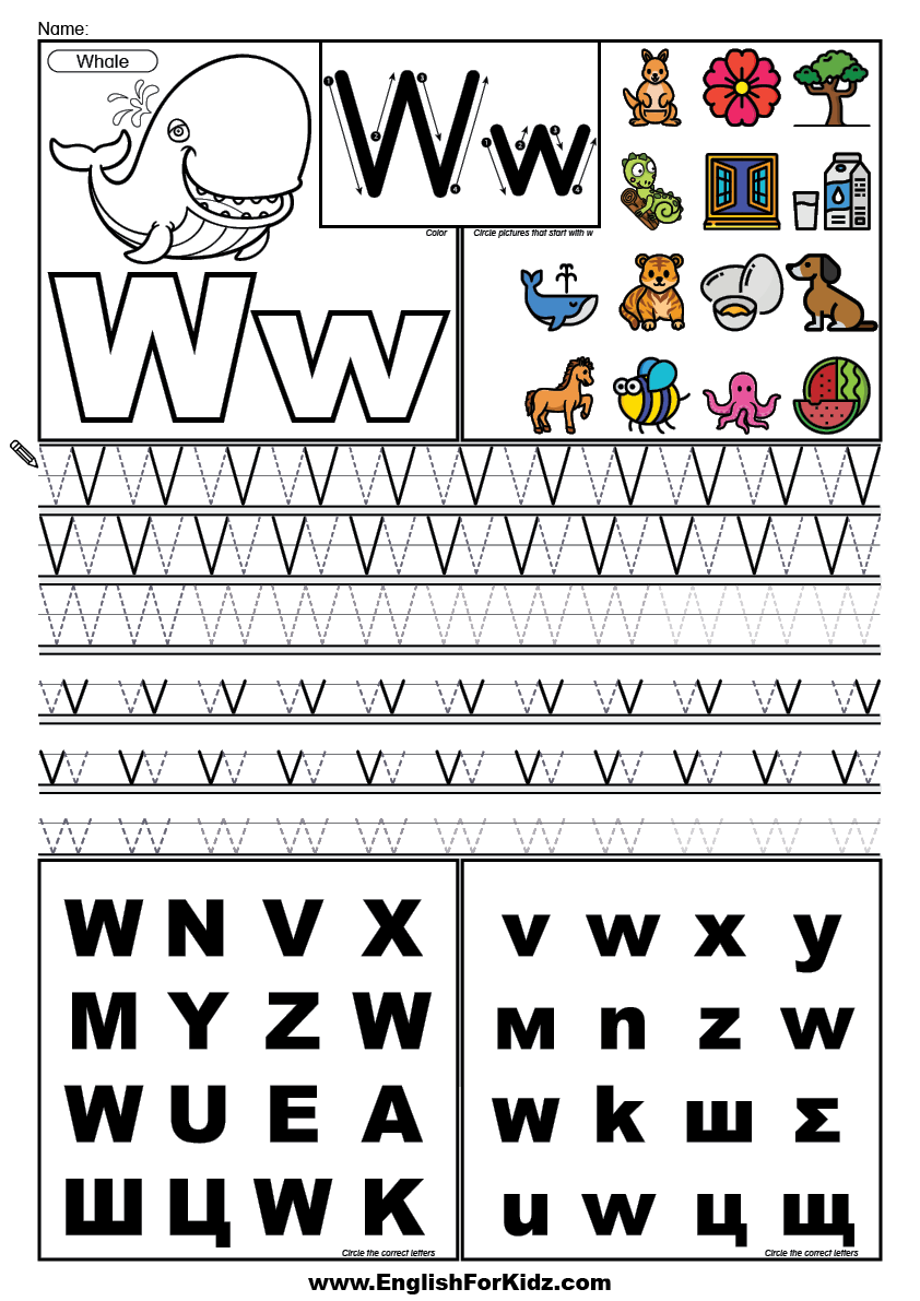 English for kids step by step letter w worksheets flash cards coloring pages