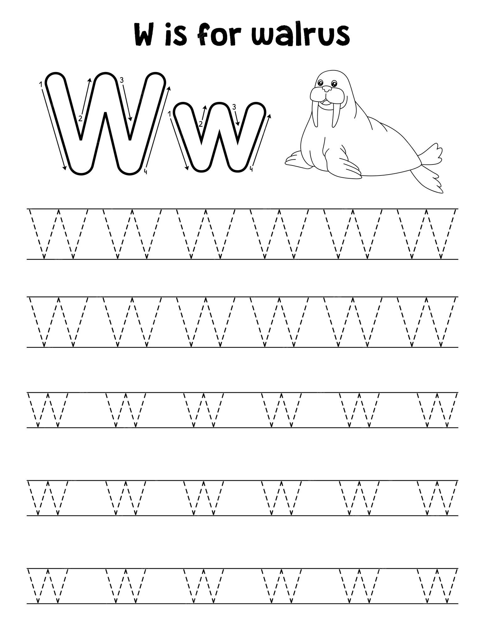 Premium vector walrus animal tracing letter abc coloring page w