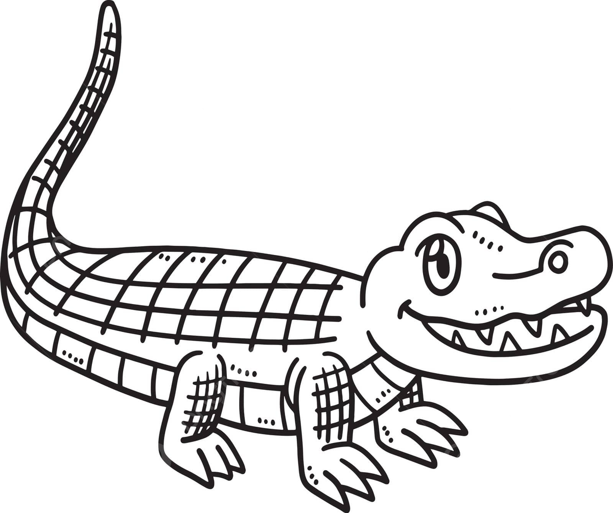 Baby crocodile isolated coloring page for kids coloring book colouring page grapc vector coloring book colouring page grapc png and vector with transparent background for free download