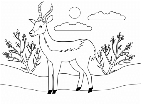 Antelope coloring page free printable coloring pages