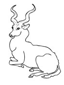 Antelope coloring page free printable coloring pages