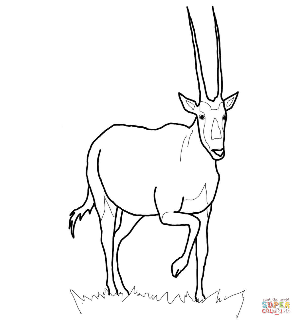 Ausmalbild sãdafrikanische oryxantilope ausmalbilder kostenlos zum ausdrucken