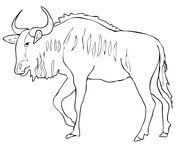 Antelope coloring page free printable coloring pages