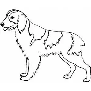 Walking dog coloring page