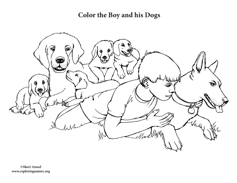 Boy with pet dogs coloring page