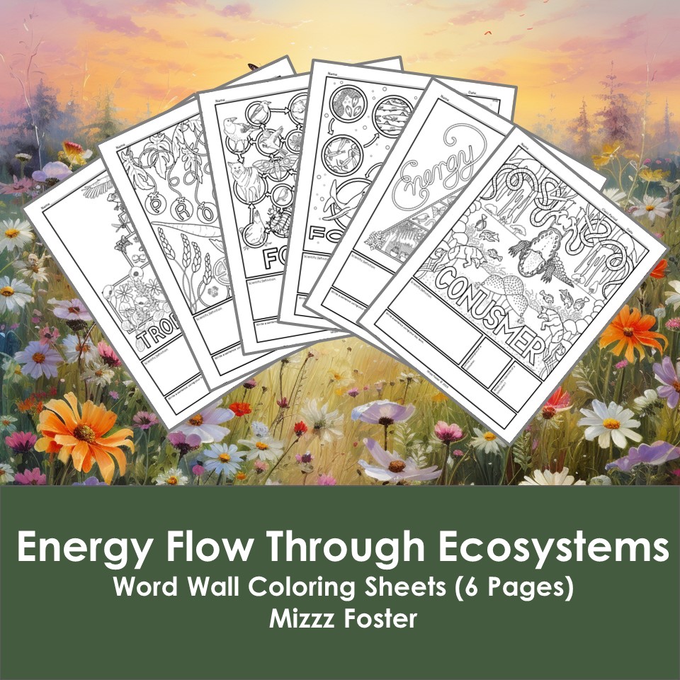 Energy flow through ecosystems word wall coloring sheets pgs made by teachers