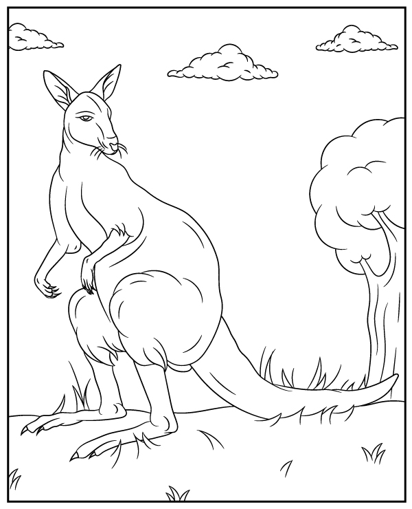 Australian wallaby coloring page sheet