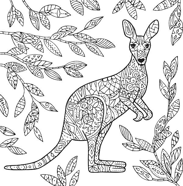 Kangaroo illustration stock illustration