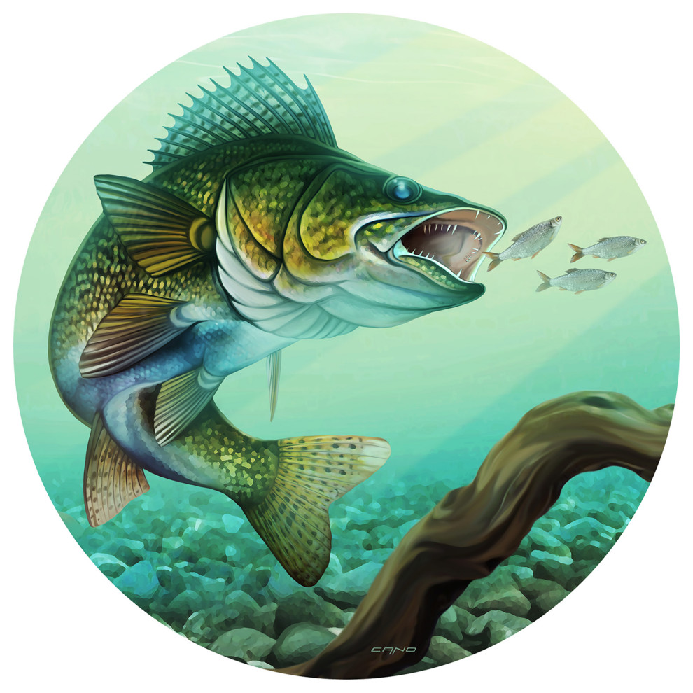 Walleye Fish  Sun Art Design, Inc.