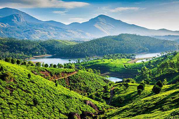 Munnar stock photos pictures royalty