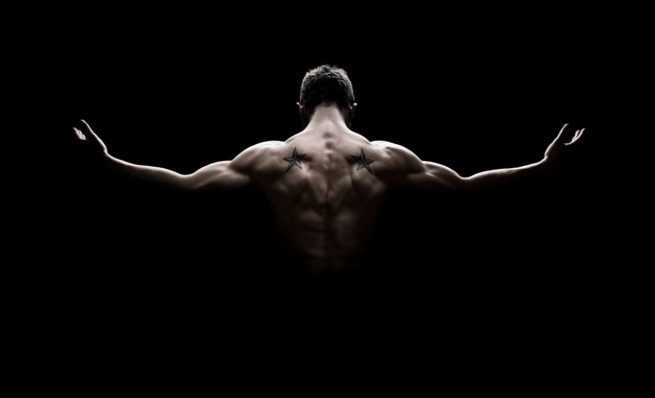 Muscle wallpapers