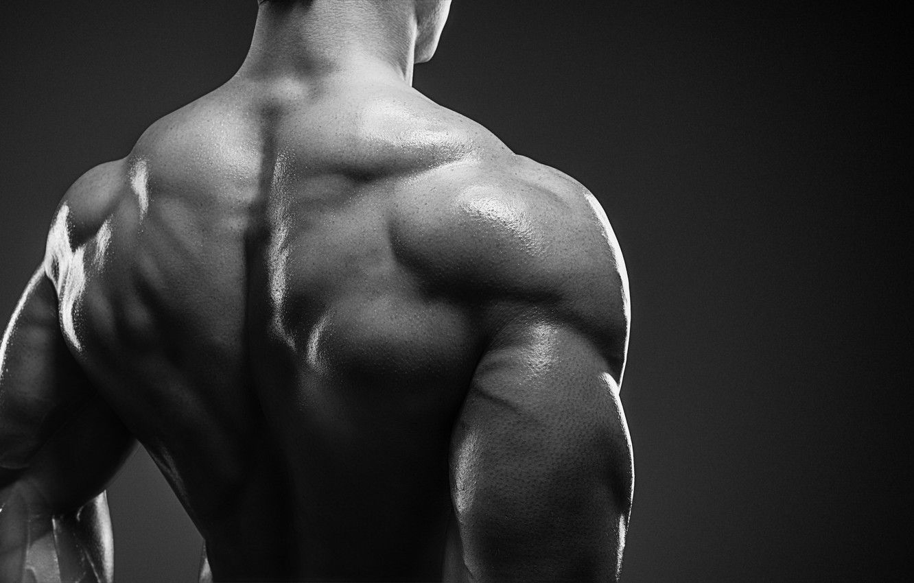 Back muscle wallpapers