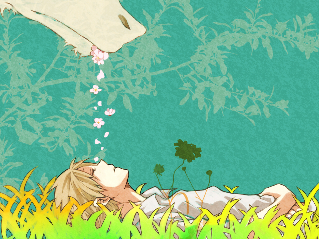 Natsume yuujinchou natsumes book of friends wallpaper