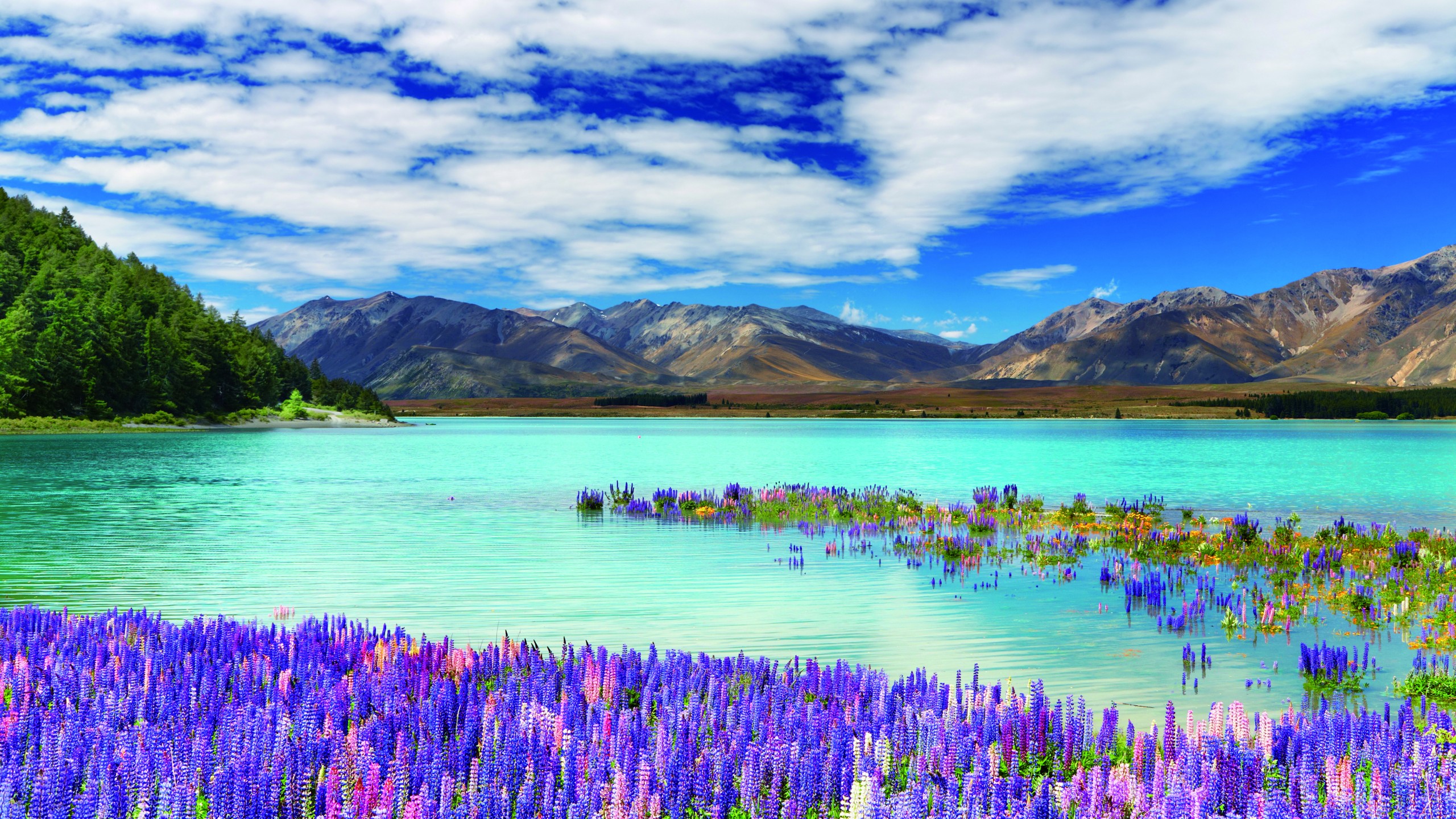 Wallpaper new zealand river mountains flowers clouds k nature