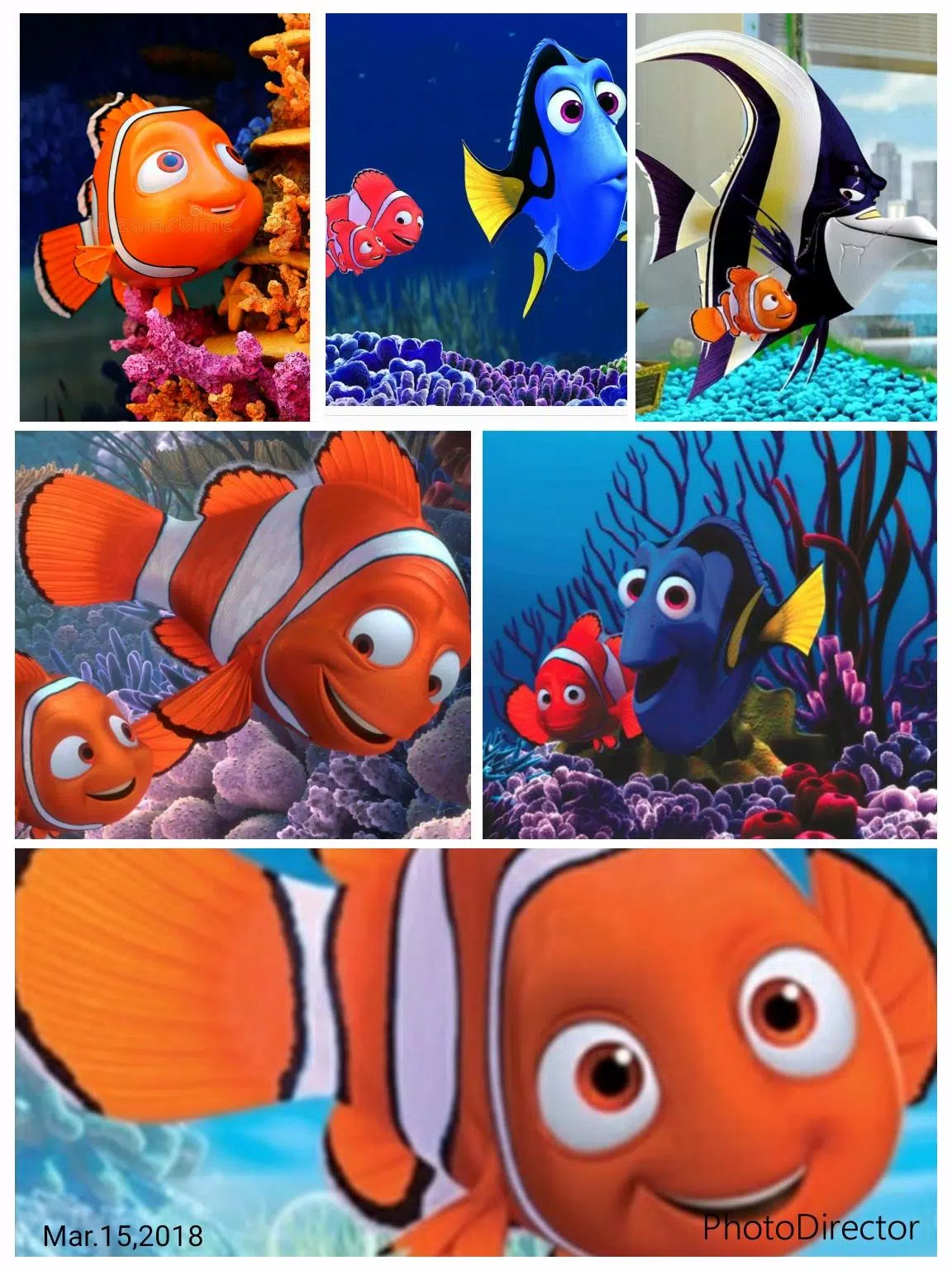 Nemo fish wallpaper apk fãr android herunterladen