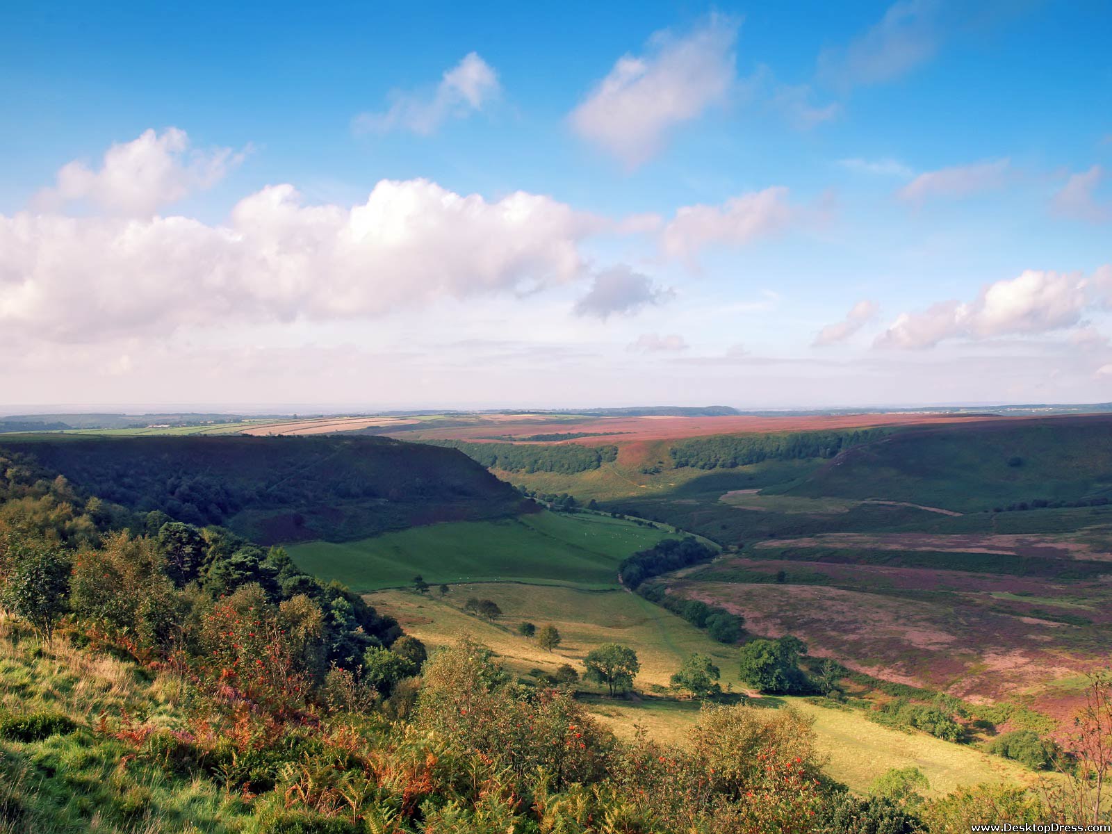 Desktop wallpapers natural backgrounds north yorkshire moors www