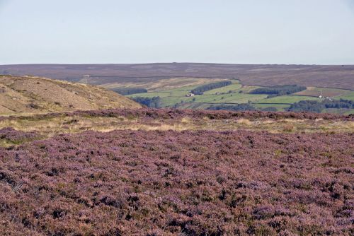 North york moors wallpaper background id