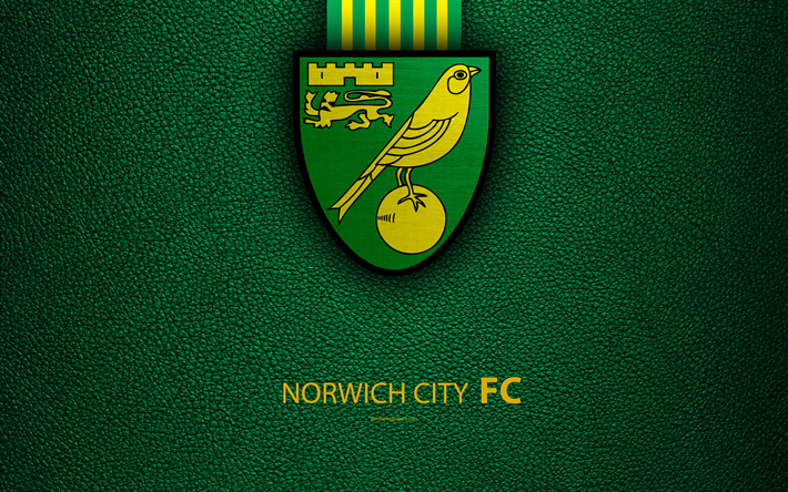 Download wallpapers norwich city fc k english football club logo football league championship leather texture norwich uk efl football second english division for desktop free pictures for desktop free