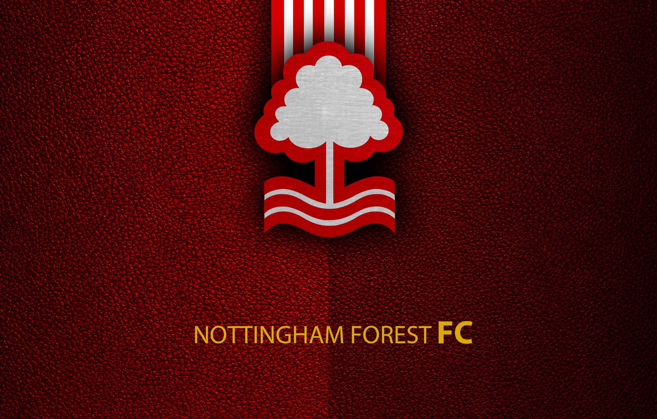 Wallpaper wallpaper sport logo football english premier league nottingham forest images for desktop section ñððññ