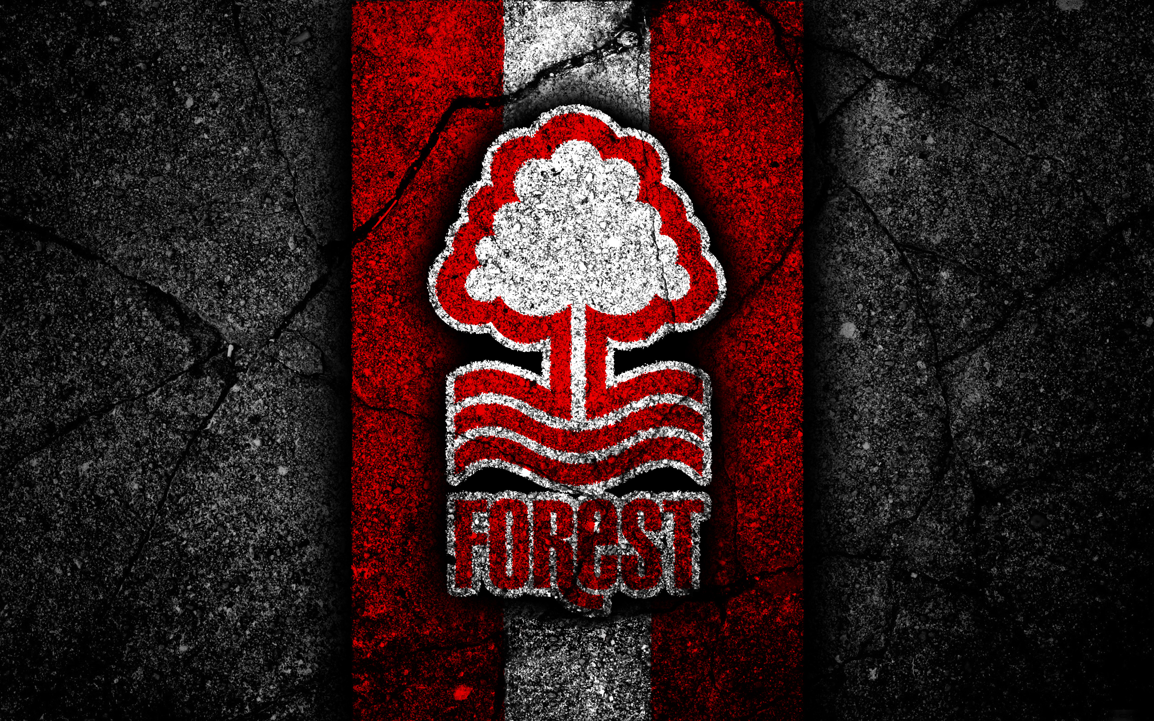 Nottingham forest fc hd papers and backgrounds