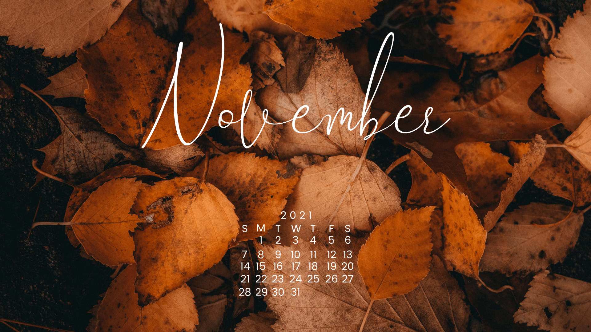 Download Free 100 + wallpaper novembro