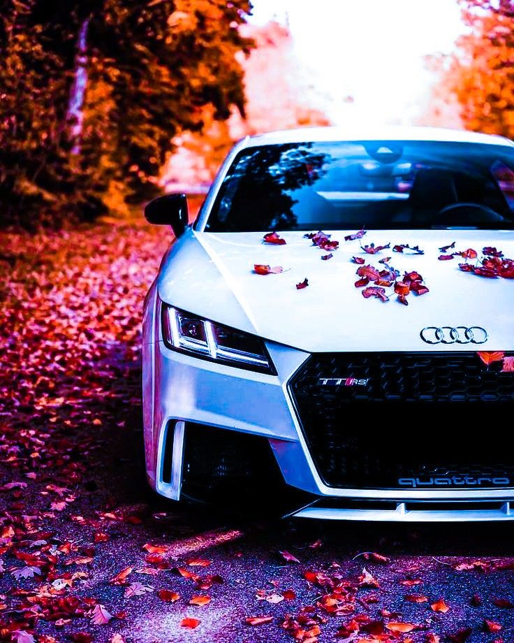 Audi hd wallpaper car wallpapers car backgrounds dream cars audi