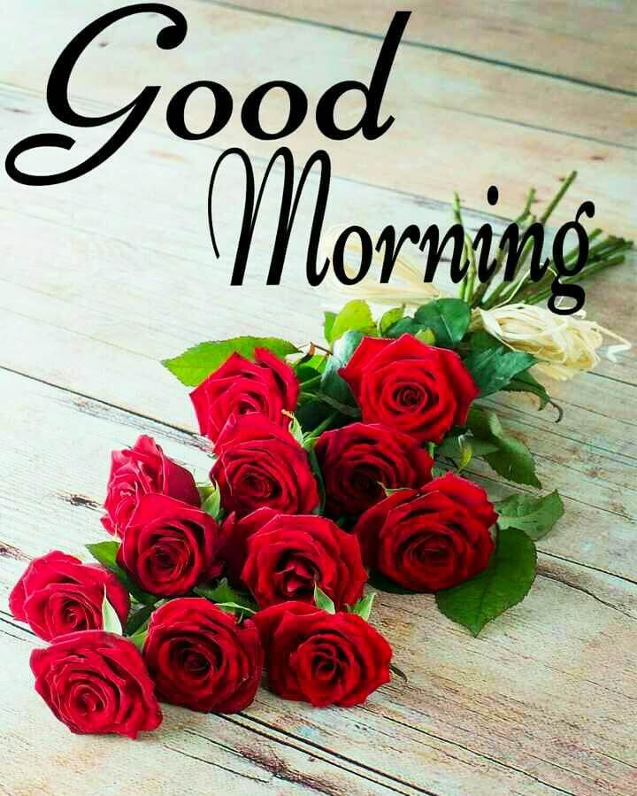 Best good morng images for whatsapp free download hd wallpaper pictures photos of goâ good morng flowers good morng roses good morng flowers pictures