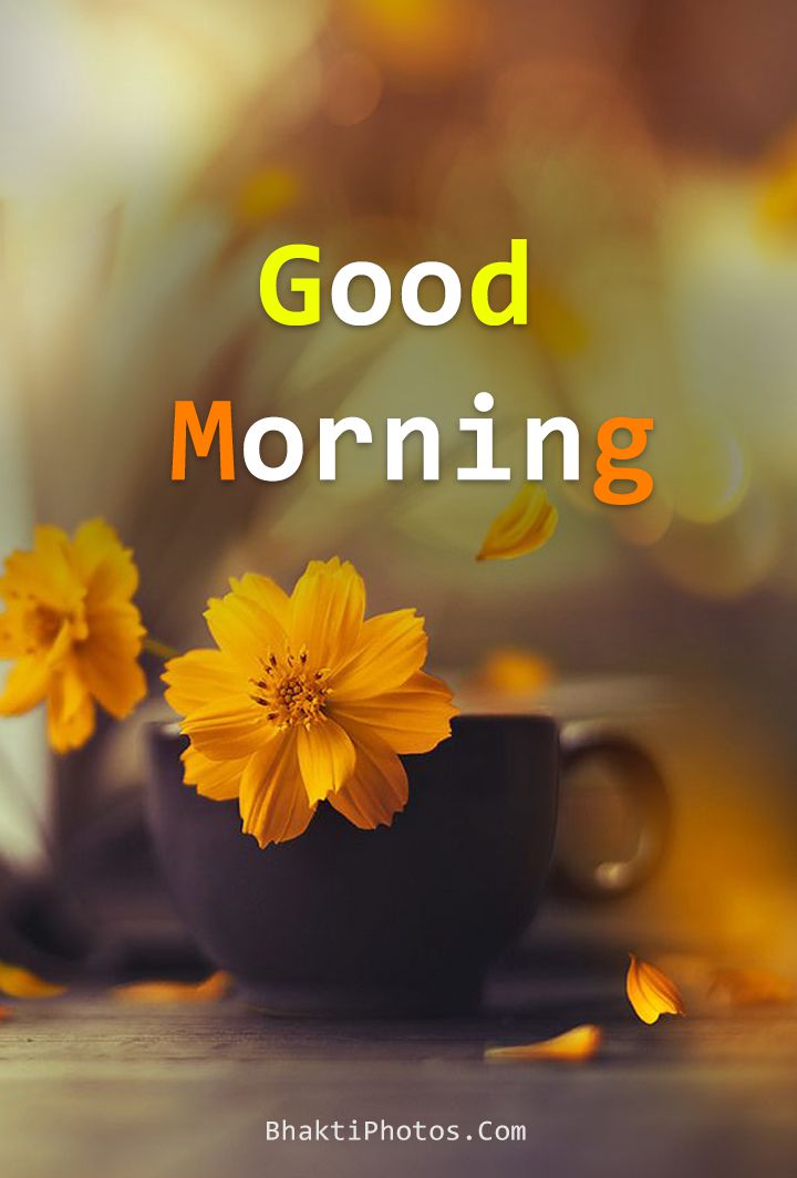 Good morning images good morning images hd download