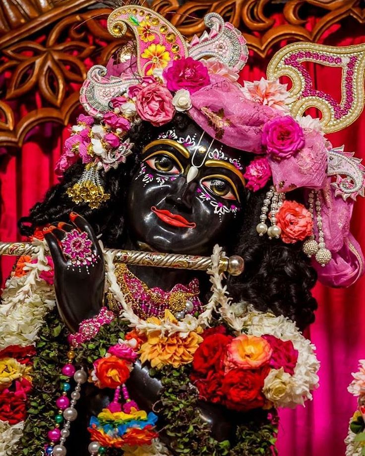 Iskcon temple on instagram âamlaki ekadasi darshan