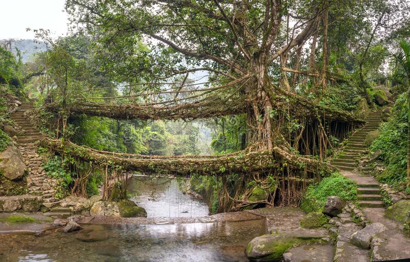 Meghalaya stock photos